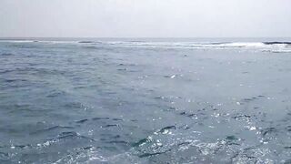 Shaviyani Goidhoo разделка улова и куда здесь рыбалка уходит по утрам