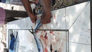 Shaviyani Goidhoo разделка улова и куда здесь рыбалка уходит по утрам