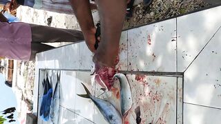 Shaviyani Goidhoo разделка улова и куда здесь рыбалка уходит по утрам