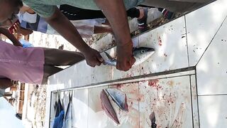 Shaviyani Goidhoo разделка улова и куда здесь рыбалка уходит по утрам