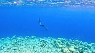 Vaavu Atoll снорклинг - стеклянный проход и рифовые акулы на мели