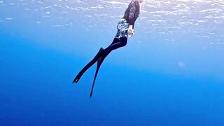 Vaavu Atoll снорклинг - стеклянный проход и рифовые акулы на мели