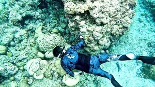 Vaavu Atoll снорклинг - стеклянный проход и рифовые акулы на мели