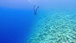 Vaavu Atoll снорклинг - стеклянный проход и рифовые акулы на мели