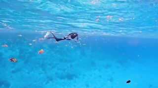 Vaavu Atoll снорклинг - стеклянный проход и рифовые акулы на мели