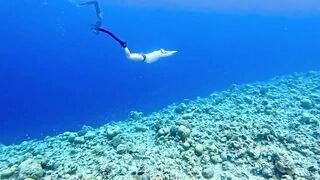 Vaavu Atoll снорклинг - стеклянный проход и рифовые акулы на мели