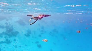 Vaavu Atoll снорклинг - стеклянный проход и рифовые акулы на мели