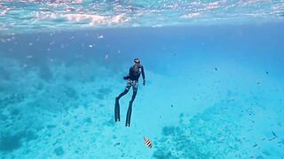 Vaavu Atoll снорклинг - стеклянный проход и рифовые акулы на мели