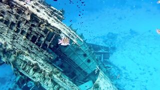 Vaavu Atoll снорклинг - стеклянный проход и рифовые акулы на мели