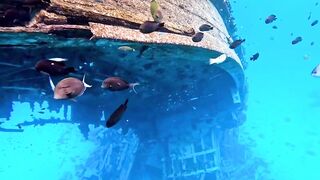 Vaavu Atoll снорклинг - стеклянный проход и рифовые акулы на мели