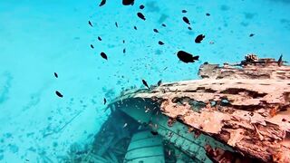 Vaavu Atoll снорклинг - стеклянный проход и рифовые акулы на мели