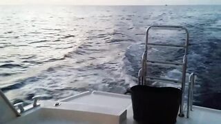 Vaavu Atoll троллинг и ваху, морская рыбалка на волне и на удачу