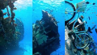 Vaavu Atoll как есть: что вау, а что нет для рыбалки начинающих