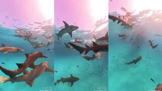 Vaavu Atoll Shark Point и волна на пассе где безопасна рыбалка