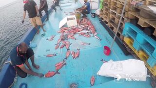 Vaavu Expedition: маршруты по пассам и ловля на попперы