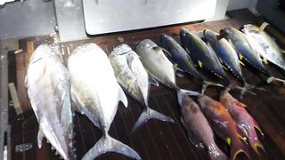 Морская рыбалка на Vaavu Atoll у пассов и свалов без лишней суеты