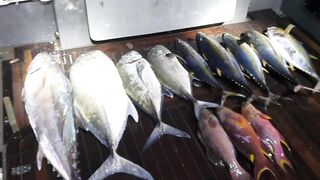 Морская рыбалка на Vaavu Atoll у пассов и свалов без лишней суеты