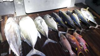 Морская рыбалка на Vaavu Atoll у пассов и свалов без лишней суеты