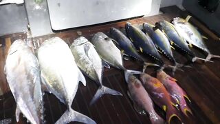 Морская рыбалка на Vaavu Atoll у пассов и свалов без лишней суеты