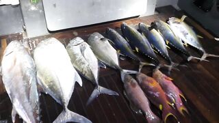 Морская рыбалка на Vaavu Atoll у пассов и свалов без лишней суеты