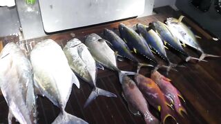 Морская рыбалка на Vaavu Atoll у пассов и свалов без лишней суеты