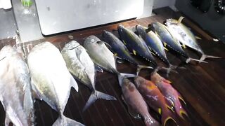 Морская рыбалка на Vaavu Atoll у пассов и свалов без лишней суеты