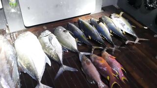 Морская рыбалка на Vaavu Atoll у пассов и свалов без лишней суеты