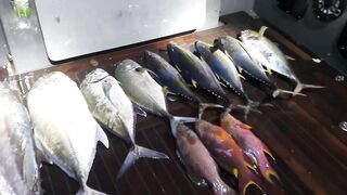 Морская рыбалка на Vaavu Atoll у пассов и свалов без лишней суеты