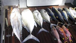 Морская рыбалка на Vaavu Atoll у пассов и свалов без лишней суеты