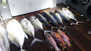 Морская рыбалка на Vaavu Atoll у пассов и свалов без лишней суеты