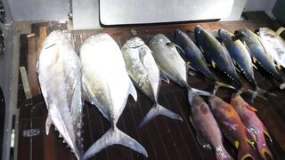 Морская рыбалка на Vaavu Atoll у пассов и свалов без лишней суеты