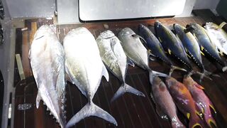 Морская рыбалка на Vaavu Atoll у пассов и свалов без лишней суеты