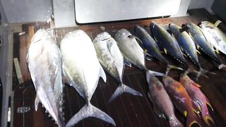 Морская рыбалка на Vaavu Atoll у пассов и свалов без лишней суеты