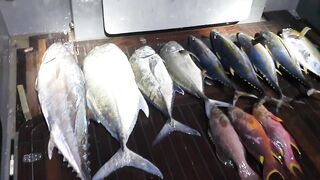 Морская рыбалка на Vaavu Atoll у пассов и свалов без лишней суеты