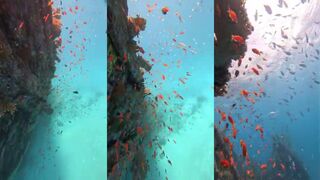 Vaavu Atoll корабли призраки рыба и морская рыбалка на Vaavu Atoll