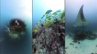 Vaavu Atoll - ныряем у пасса и думаем о поппинге по утру