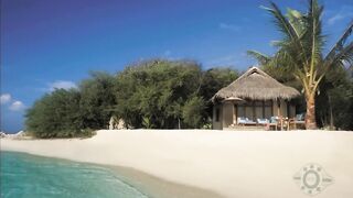 Атолл Фаафу, рыбалка глазами новичка и заметки по рабочим свалам