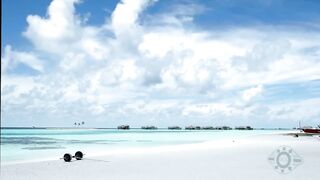 Атолл Фаафу, рыбалка глазами новичка и заметки по рабочим свалам