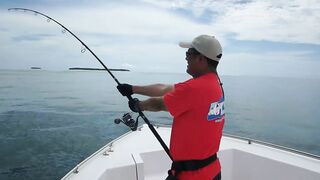 Faafu Atoll record GT: декабрь, штиль и жёсткая борьба у кромки