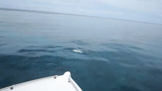 Faafu Atoll record GT: декабрь, штиль и жёсткая борьба у кромки