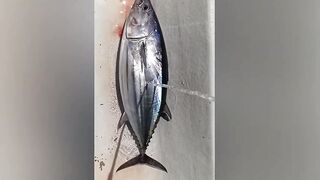 Faafu Magoodhoo вечерний бриз и рыбалка на заброс с косы