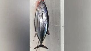 Faafu Magoodhoo вечерний бриз и рыбалка на заброс с косы