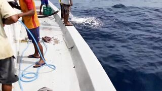 Faafu Magoodhoo вечерний бриз и рыбалка на заброс с косы