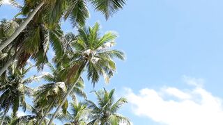 Faafu Magoodhoo вечерний бриз и рыбалка на заброс с косы