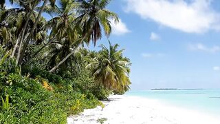 Faafu Magoodhoo вечерний бриз и рыбалка на заброс с косы