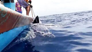 Faafu Magoodhoo вечерний бриз и рыбалка на заброс с косы