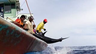 Faafu Magoodhoo вечерний бриз и рыбалка на заброс с косы