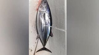 Faafu Magoodhoo вечерний бриз и рыбалка на заброс с косы