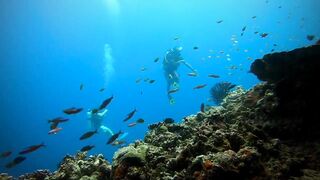 Faafu Nilandhoo после дайва куда на рыбалку идти пешком по берегу?