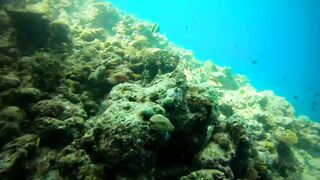 Faafu Nilandhoo после дайва куда на рыбалку идти пешком по берегу?